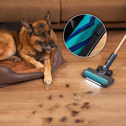 Aspiradora sin Cable Cecotec Conga Rockstar RX70 Aquapet Flex Genesis 780W 180m² Antienredos Mascotas