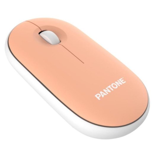 Mouse PANTONE PT-MS001E RF wireless 100 DPI arancione ergonomico
