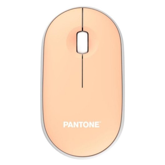 Mouse PANTONE PT-MS001E RF wireless 100 DPI arancione ergonomico