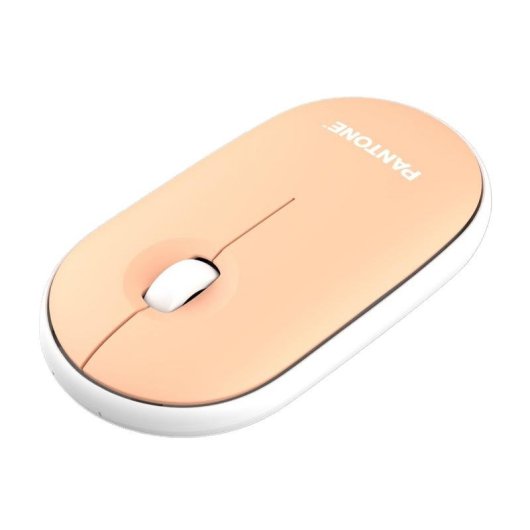 Mouse PANTONE PT-MS001E RF wireless 100 DPI arancione ergonomico