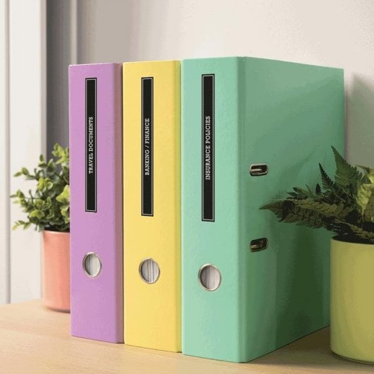 Imprimante Étiquettes Thermique Portable Brother PT-N20 LCD Coupe Manuelle Auto-Off