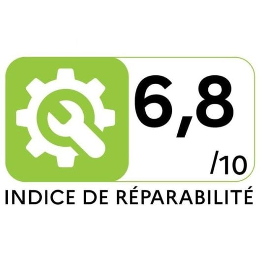 Aspirateur sans Fil Beko VRT96425VD 450W 60 min HEPA 12 2,5L