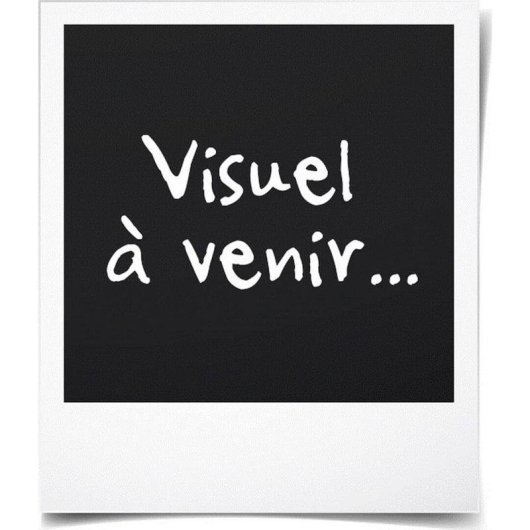 Manguère Kärcher 2.863-305.0 3,6 m Compatible WD 3 WD 5