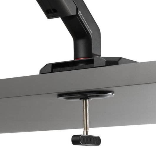 ASUS AAS01R Supporto Monitor da Scrivania 17 a 49" VESA 100x100 Max 13,5kg