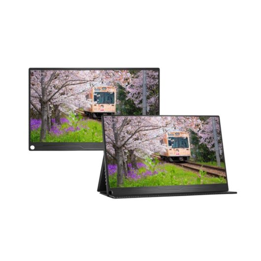 Monitor JAPANNEXT JN-MD-IPS133WUXGAR 13.3" WUXGA 60Hz IPS HDR G-Sync FreeSync 25ms