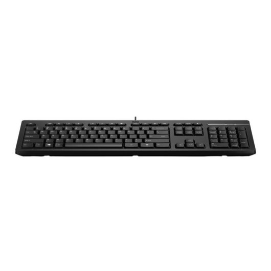 Teclado HP 125 G2 USB completo membrana com tecla Copilot cabo 1,8 m FR