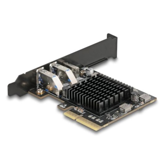 Tarjeta de Red Delock 90891 PCI Express USB 3.2 20 Gbps Low Profile