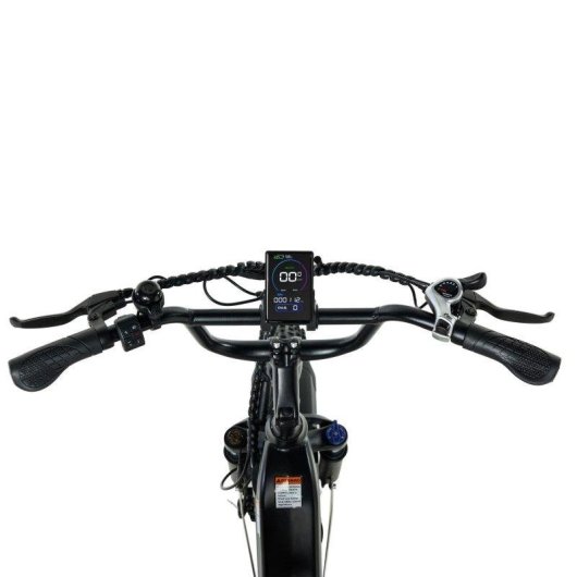 Bicicletta elettrica Pixar Ride1 500W 48V 10,4Ah 20" Grigia