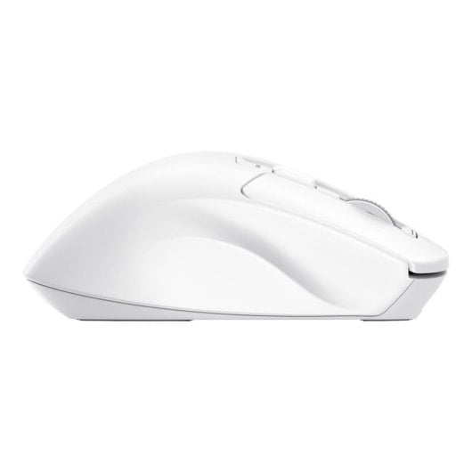Souris Trust Niven RF Wireless Bluetooth 3200DPI Blanc USB-C 7 Boutons