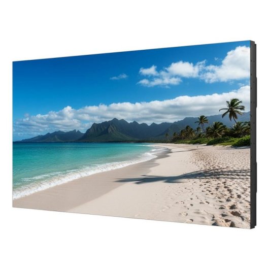 Écran PC Sharp PN-UN553S 55" Full HD 60Hz IPS Ultra Fin Videowall