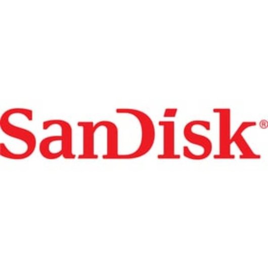 Carte mémoire SanDisk Ultra GO 256GB UHS-I 190MB/s V10 Gris Rouge