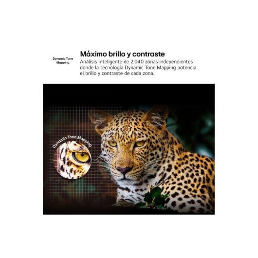 TV LG QNED 75QNED81A6A 75" 4K UltraHD 60Hz Smart TV WebOS HDR10 Pro