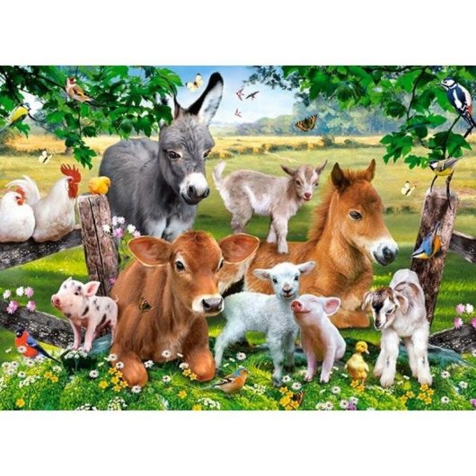 Puzzle Castorland B-111138 100 pieces Animaux 6 ans