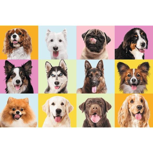 Puzzle TREFL 17374 60 pièces Animaux Multicolore 4 ans
