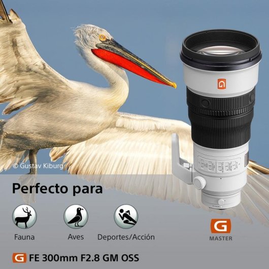 Objetivo Sony SEL300F28GM 300 mm Estabilizado Montura E Negro