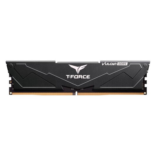 Arbeitsspeicher RAM Team Group FLBD516G6000HC38A01 16GB 1x16GB DDR5 6000MHz CL38 ECC Intel XMP