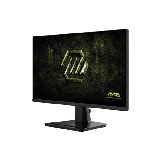 Écran PC MSI MAG 256F E20 24,5" Full HD 200Hz Rapid IPS HDR10 0,5ms