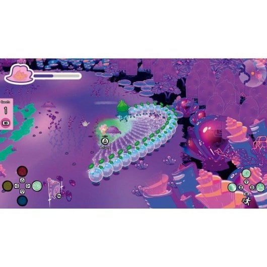 Grimoire Groves Deluxe Edition Switch