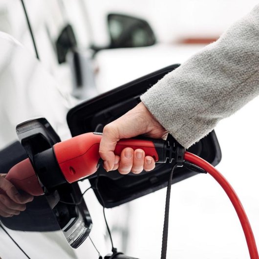 Cable de carga DEFA eConnect Rojo Type 2 7.5 m 13.8 kW