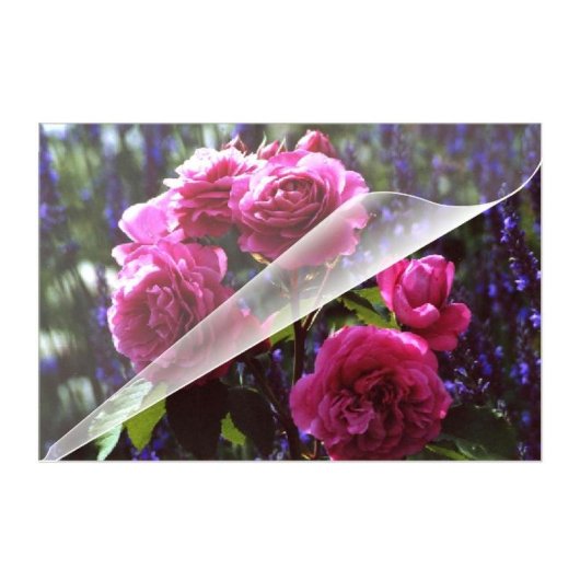 Laminierfolie Olympia 9165 100 Stuck A4 A5 A6 80 Mikron