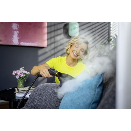 Accesorio para Plancha de Vapor Kärcher Carrito Negro