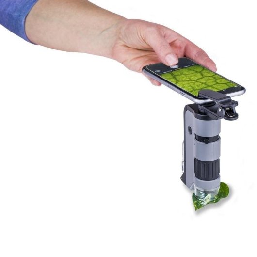 Microscope Carson MICROFLIP 250x Noir Acier Inoxydable Portable