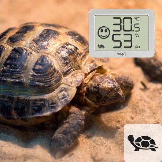 Thermomètre TFA Dostmann 30.5055.02 Digital Hygromètre Intérieur Blanc