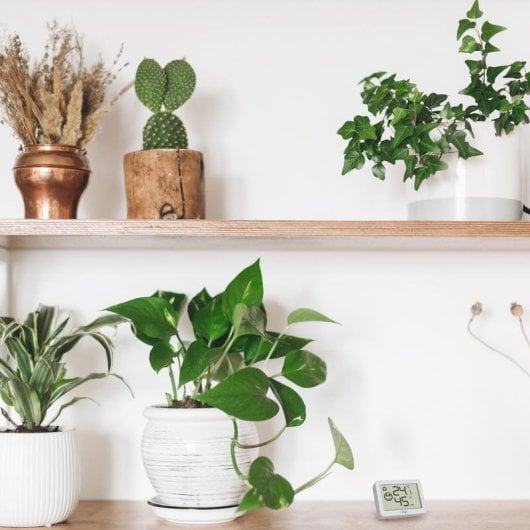 Thermomètre TFA Dostmann 30.5055.02 Digital Hygromètre Intérieur Blanc