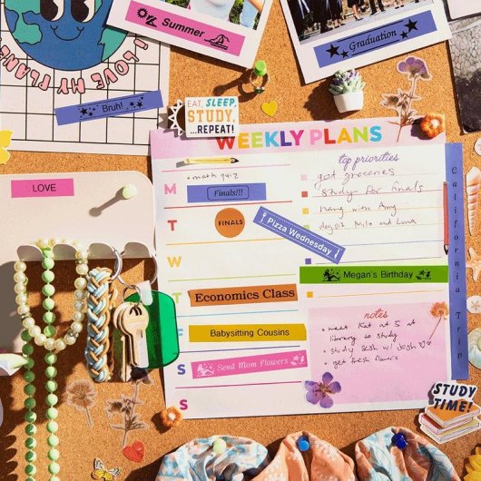 Band Brother BTAG-T31 Schwarz auf Orange 12 mm 4 m