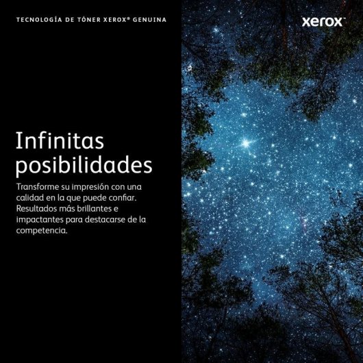 Cartucho de tóner Xerox VersaLink B600/B605/B610/B615 Unidad de imagen 60000 páginas negro