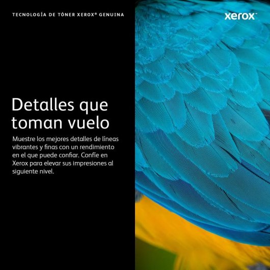 Cartucho de tóner Xerox VersaLink B600/B605/B610/B615 Unidad de imagen 60000 páginas negro