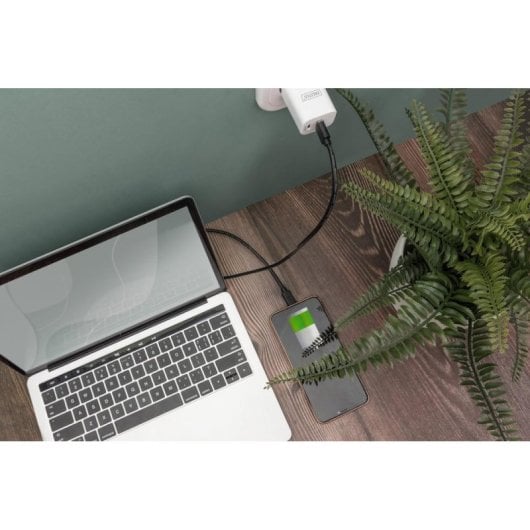 Cable Digitus USB-A USB-C 3 m USB 2.0 Noir