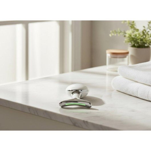 Gesichtsgerät BODYLIFE EMS LED Positive Negative Ionen Wärme