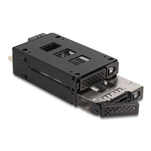 Rack móvel Delock 2x 2.5 U.2 NVMe SSD metálico com LED e chave