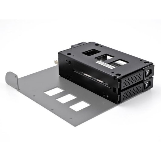 Rack móvel Delock 2x 2.5 U.2 NVMe SSD metálico com LED e chave