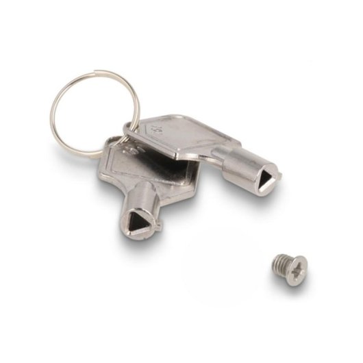 Rack móvel Delock 2x 2.5 U.2 NVMe SSD metálico com LED e chave