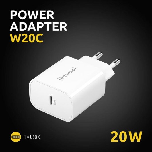 Cargador Intenso USB-C con Carga Rápida 12V