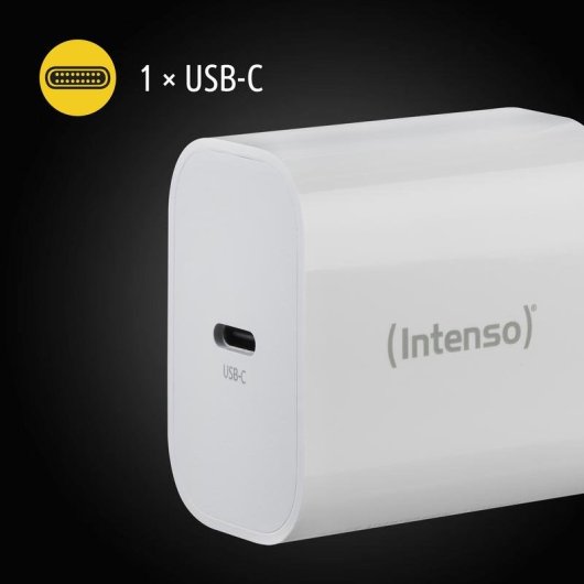 Cargador Intenso USB-C con Carga Rápida 12V