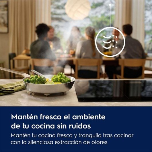 Campana extractora Electrolux LFG818K Canalisation 77cm avec fonction brise