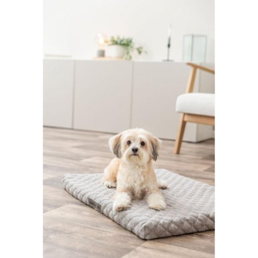 Alfombrilla para mascota Trixie 367404 Gris Rectangular Lavable para Perro