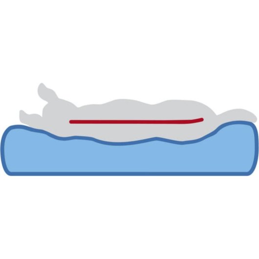 Alfombrilla para mascota Trixie 367404 Gris Rectangular Lavable para Perro