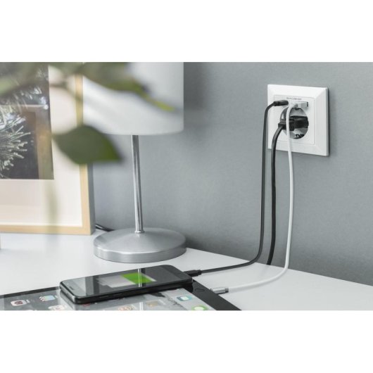 Regleta Digitus 3 Tomas con USB-A y USB-C 2,8 A Protección y Seguridad