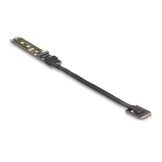 Scheda di espansione Delock NVMe M.2 Chiave A+E a Chiave M con cavo 20 cm