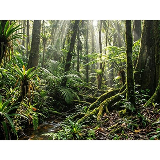 Ordinateur portable HP OmniBook 3 16-bu0062ns 16" Intel Core 3 100U 8GB 512GB SSD Intel Graphics FreeDOS