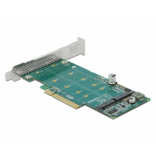 Scheda PCI Express Delock x8 a 2x NVMe M.2 Chiave M Bifurcazione Profilo Basso