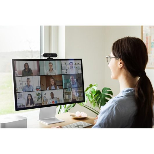 Câmara Web Sandberg Face Scan Full HD 1080P USB-C