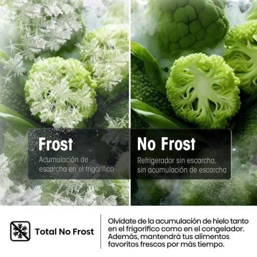 Congelador Hisense FT3K310SEWE1 312 L Classe E Wi-Fi Branco