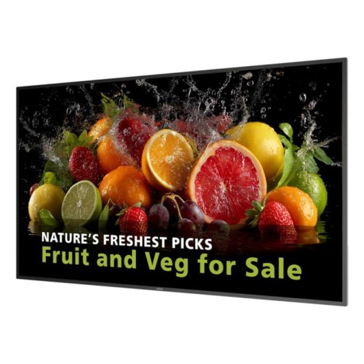 Écran PC Philips 5000 98BDL5050D 98" UltraHD 4K VA 600cd/m² Android 14 WiFi Haut-parleurs