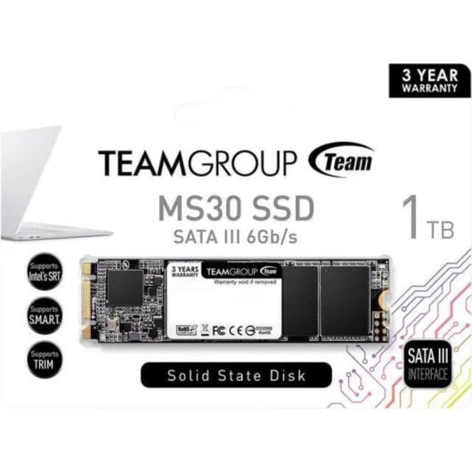 Disco Duro Team Group MS30 1TB M.2 SATA III 530MB/s SLC Cache