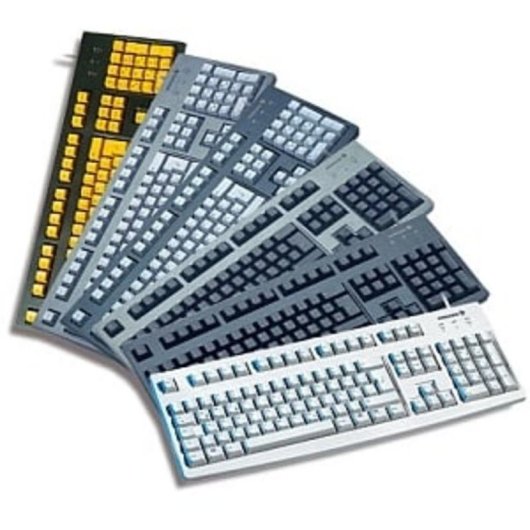 Tastiera Cherry G83-6105 a membrana completa USB QWERTZ nera con tastierino numerico